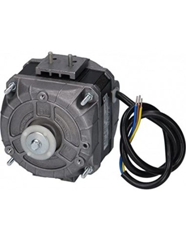Motore  pentavalente W16