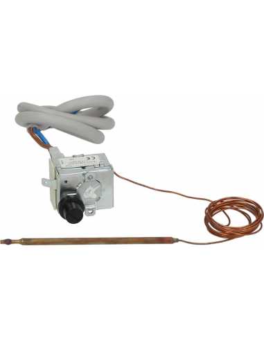 Termostato sicurezza monofase TR2