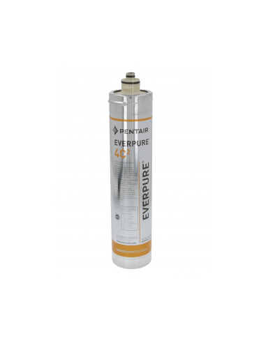 Cartuccia filtro EVERPURE 4C2