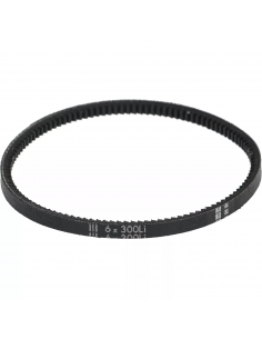 Cinghia dentata 6x300 mm
