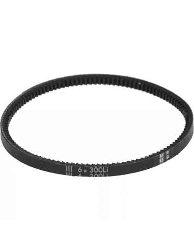 Cinghia dentata 6x300 mm